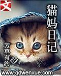 猫妈日记创始人朱丹的背景与经历