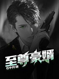 至尊神婿叶昊郑漫儿2521集