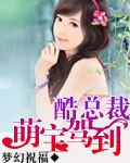 萌宝驾到总裁爹地求抱抱