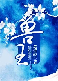 兽王争锋原石之力