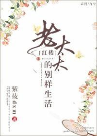 [红楼