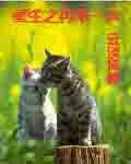 重生之再来过