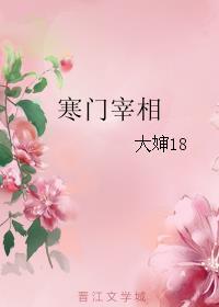 寒门宰相女主角介绍