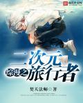 综漫之二次元国度