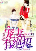 温先生的宠妻日常简介