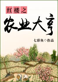 红楼之大家