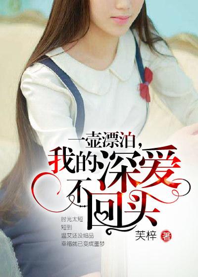 一壶飘泊是什么意思