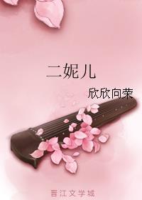 二妮儿农村生活大结局