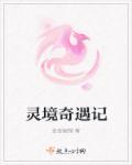 灵境传奇编剧