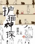 神探猫作者是谁