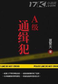 a级通缉犯很厉害吗