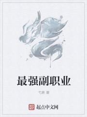 副职业为主的