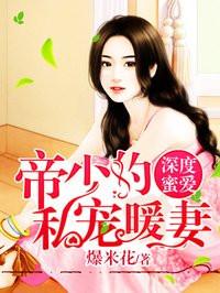 帝少的私暖宠妻免费阅读全文