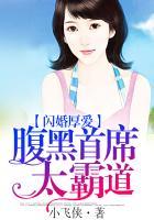 闪婚强爱腹黑首席小白妻免费