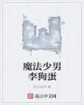 魔法少男是什么意思