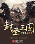 封将三国阵容攻略