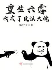 重生六零我成了反派大佬讲的什么