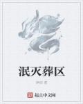 泯灭解析