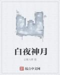 主角白夜