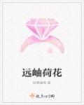 远看荷花长什么样子
