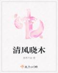 清风拂晓什么意思