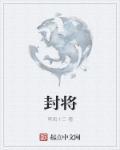 封将帅