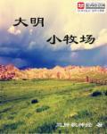 大明小农民