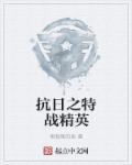 抗日精英之特战大队