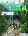 回到大宋做诸葛