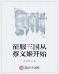 三国征服使