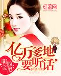 天赐萌宝免费观看1-100全集