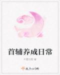 首辅养成记内容