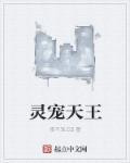 灵宠终章