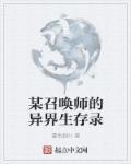 异世召唤师