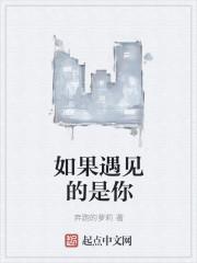 如果你遇见我