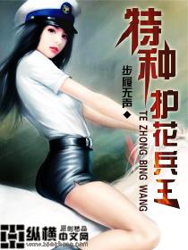 特种兵王护花使者