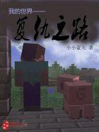 复仇我的世界动画