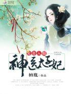 神医太子妃 雪落无痕