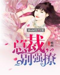 总裁别过来/红烧肉