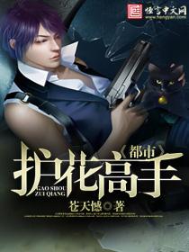 都市护花高手人物介绍