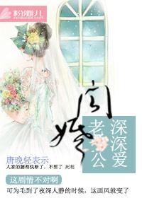 闪婚老公是豪门大结局