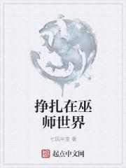 我在巫师世界修仙