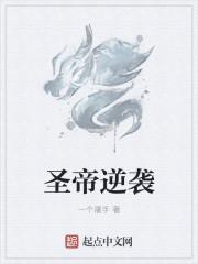 圣帝永恒免费阅读