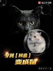 穿到过去变成猫txt