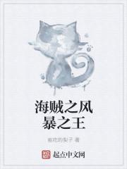 海贼之风暴主宰起点