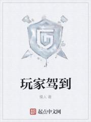玩家全本阅读
