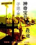 神奇宝贝之系