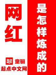 网红是怎样炼成的编剧