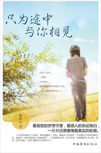只为途中与你相见歌名