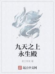 九天之上定制版